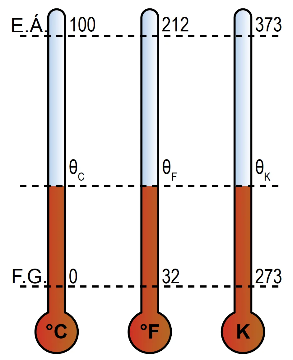 31 31